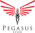 Pegasus Stud
