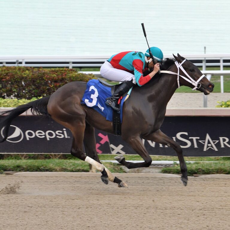 Ship to Shore by, Sea Wizard wins The Limehouse Stakes at Gulfstream Park by 8 lengths. Photo credit: Lauren King